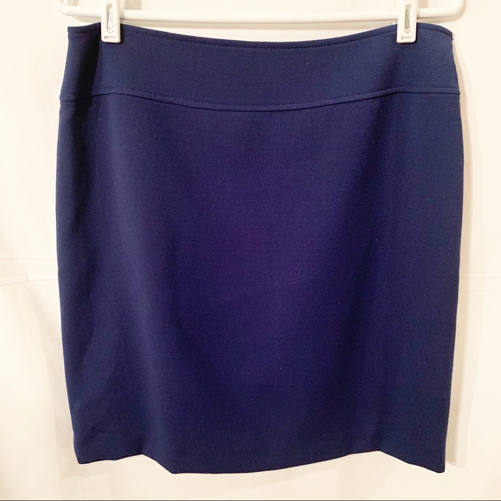 NWT Isabella DeMarco Skirt